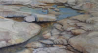 Rocks at Halibut Point by Yale Nicolls